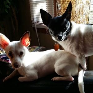 Meet your Posher, Tabatha